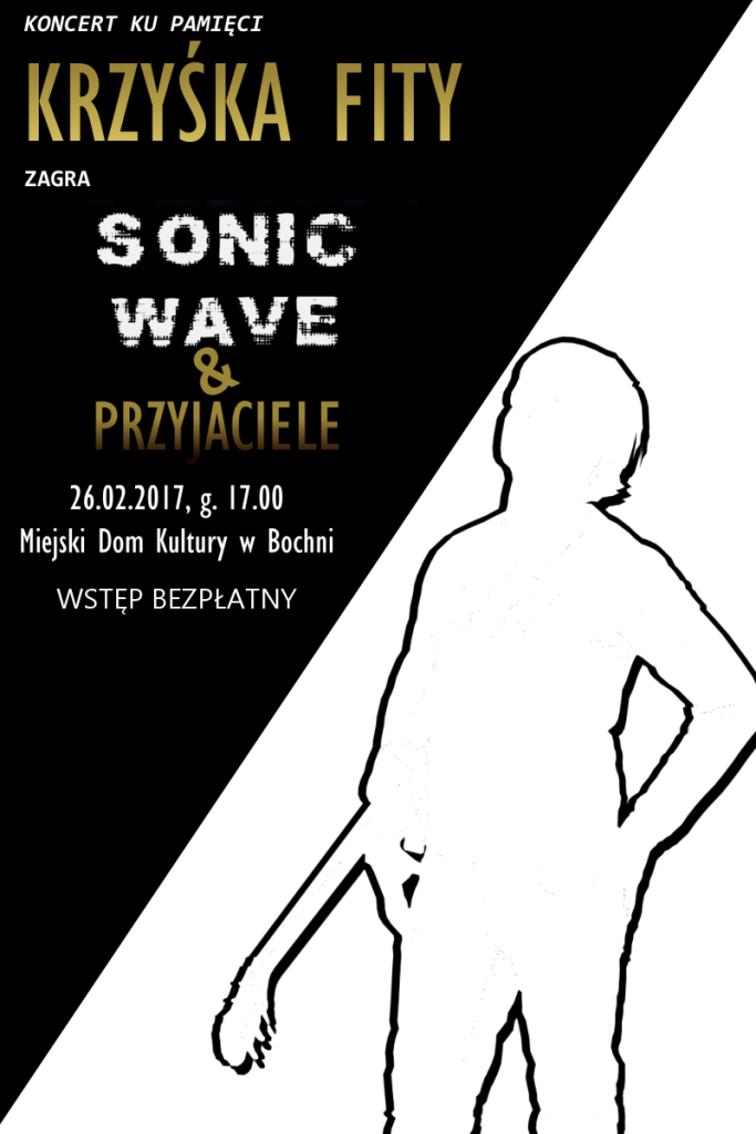 sonic_Wave_plakat