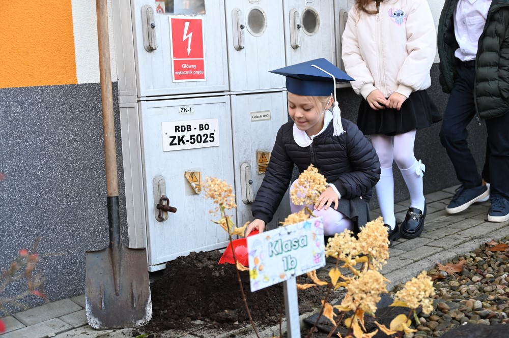 Ślubowanie pierwszoklasistów w SP nr. 5 (63)