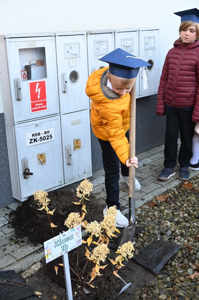 Ślubowanie pierwszoklasistów w SP nr. 5 (64)